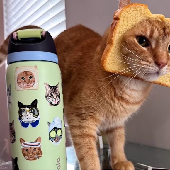 Owala UO Exclusive FreeSip 32 oz Water Bottle in Cat Collage Catwala. New! - Picture 6 of 8